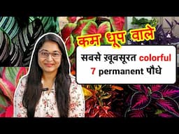 🔴 7 MOST BEAUTIFUL,COLORFUL, LOW LIGHT PLANTS FOR GARDEN / रंगीन सबसे सुंदर पौधे #gardening #plants