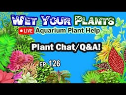 Planted Tank/Aquarium Plant Chat, Help, Q&A (WYP 126)