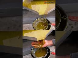 Live demo of Mustard Seed Oil Extraction #coldpressedoilmachine #oilmachine   @KavishEngineers​