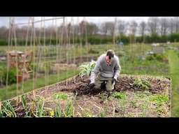 Growing vegetables from seed - spring in the allotment Ep 2