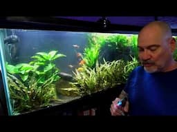 Sunday Fish N Hits w / Dan