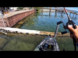 We’re back at Clear Lake, CA (May 2025)