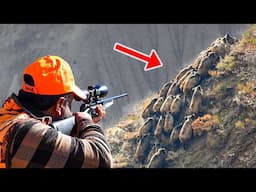 SHOCKING BOAR INVASION: Sniper Shots, Brave Dogs & Epic Hunts!