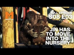 Baby Jin Moves Into The Orang-utan Nursery | Season 8 Episode 3 | Full Episode | Monkey Life