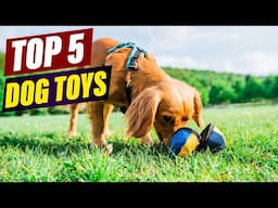 Top 5 Best Dog Toys for Endless Fun and Playtime!