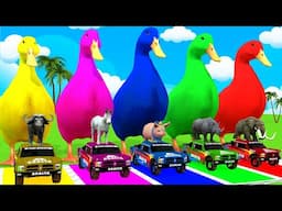 Long Slide Game With Cow Elephant Gorilla Hippopotamus Tiger 3d Animal Game Funny 3d Animals
