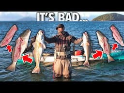 The ONLY Bad Thing About Fishing - Do You Agree?