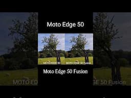 Camera Comparison #motorolaedge50 #motorolaedge50fusion