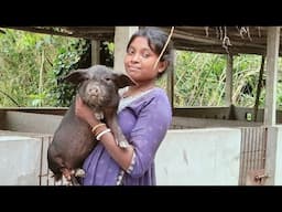 live business pig form Sudhir Hembram #dance #shortvideo