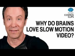 Why Do Scary Events Seem To Last Longer? | INNER COSMOS WITH DAVID EAGLEMAN