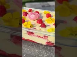 Lemon Raspberry Tiramisù #lemondessert #springrecipes #summerrecipes #mediterraneandiet #tiramisu