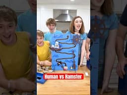Can we outsmart a hamster? 🐹 | Ballinger Family #humanvshamster #familygamenight #shorts