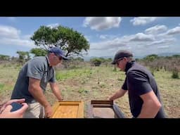 Two African White-backed Vultures Rehabilitated and Released After Poisoning Incident