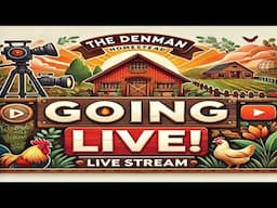 The Denman Homestead is Going LIVE 6pm CST