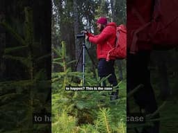 Light in landscape photography #photographylife
