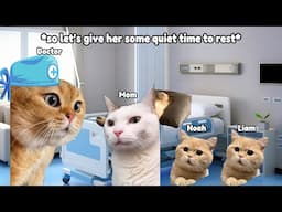 CAT MEMES WITH THE MEASLES