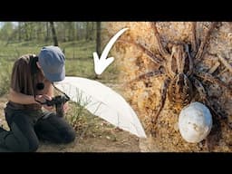 Is This Better than a Flash and Diffuser? - Macro Walks ep13