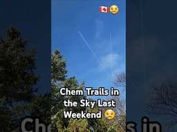 Chem Trails in the Sky Last Weekend 😭