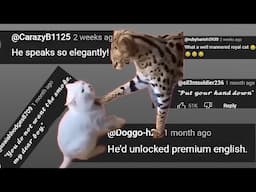 He'd unlocked premium English - Chat Music
