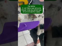 EXAGERO