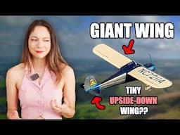 The Secret to Why All Airplanes Look the Same