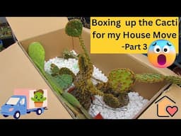 Boxing up the Cacti in the Polytunnel for my House Move - Part 3 #cacti #cactus
