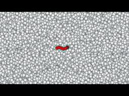 Snake.io 110,000+ Score Epic Snake io Epic Gameplay!