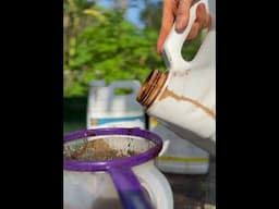 Nurturing trees through Florida’s hot and dry months! 🌞