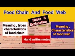 Food chain and food web | food chain and foid web in ecosystem | food web and food xhain