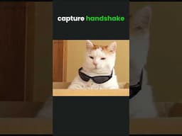 What's a handshake file? #hacking #wifi #security
