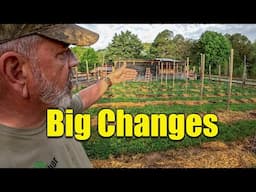 2025 Vegetable Garden Layout and Changes