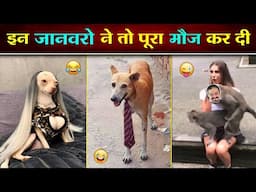🤣 ये जानवर नहीं आफत की पुरिया है... रे बाबा 😂 || Funny Animal Video ( Part - 2 )