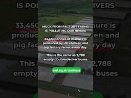 Agriculture waste is the leading cause of river pollution in the UK.  #pollution #facts #river