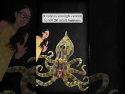 The octopus decided not to unalive anyone that day. #Octopus #BiogirlMJ #JustKeepThinking