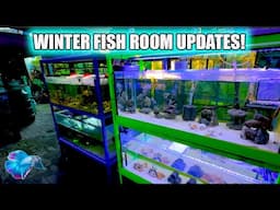 OUTDOOR FISH ROOM UPGRADE! ~ SHRIMP TANKS?