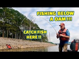 A TRUE Fishing Bait that Fish CAN’T RESIST !! (DEADLY)