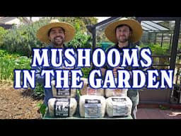 How Mushrooms Make Your Garden BETTER + 3 Ways To Grow Them!