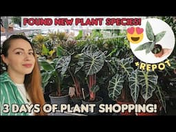 Houseplant shopping AND finding an exciting new plant! 😲🌿