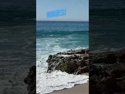 Beach #summer #vacation #beach #shorts #summervacation #palmtrees #freshair #sunshine #waves