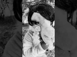 "Tears of a Camel" (2025) | #WorldGothDay