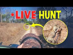 Leopard’s SHOCKING hunt in Panna Tiger Reserve - 4K Video Hindi | हिन्दी