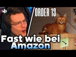 Horror Game + Katzen Haustier Simulation 😂 | Niek spielt "Order 13" | Niekbeats