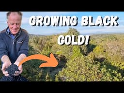 Australia’s Native Pepper Taking Over the World | Diemen Pepper Story at Five Bob Farm