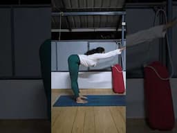 Padahastasana, standing forward bend, daily yoga pose #weightlossyoga