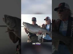 Finding Fish on an Unknown Lake