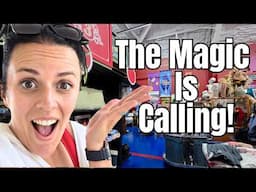 Buying Back the Magic—Inside Disney’s Ultimate Collector Store!