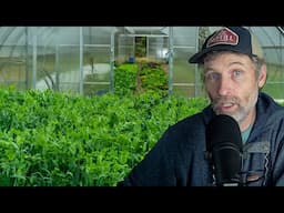 Our Tomato Trellis + Can I Plant the Same Crop Family in the Same Place?