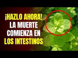 7 HIERBAS PODEROSAS para DESINFLAMAR tu INTESTINO Naturalmente