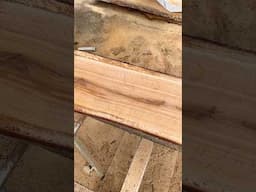 The most beautiful piece of wood I’ve ever seen 😮‍💨 European white oak!