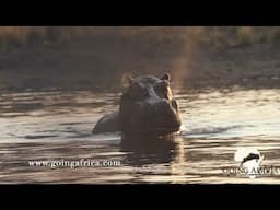 Musekese Camp, Kafue National Park